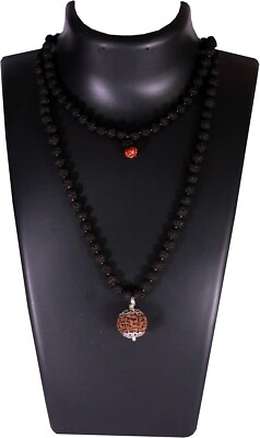 12 Mukhi Nepali Rudraksha Guru Mani with 108+1 Beads of Five Mukhi Rudraksha Mal