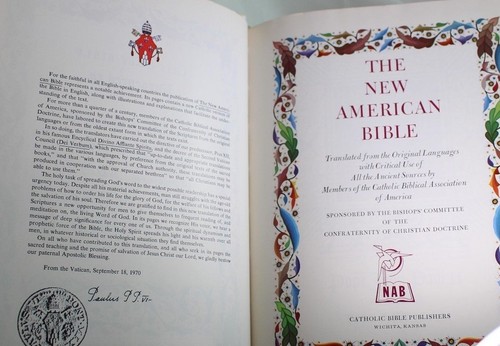 GRAN BIBLIA CATÓLICA NUEVA AMERICANA VINTAGE NAB FIRESIDE EDICIÓN FAMILIAR ILUS 1972 - Imagen 8 de 9