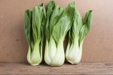 3000 CHINESE WHITE STEM PAK CHOI Bok Choy Chinese Cabbage Seeds Non-GMO USA 