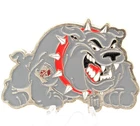 US Army 602nd Medical Company Airborne Bulldog Challenge Coin 2.2"