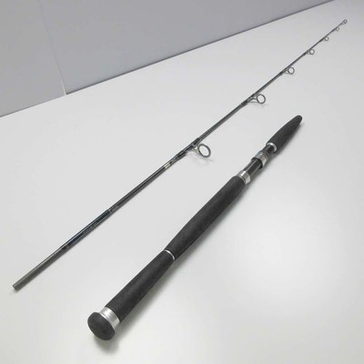Daiwaキャタリナ CASTING HIRAMASA 79S CH79S-N
