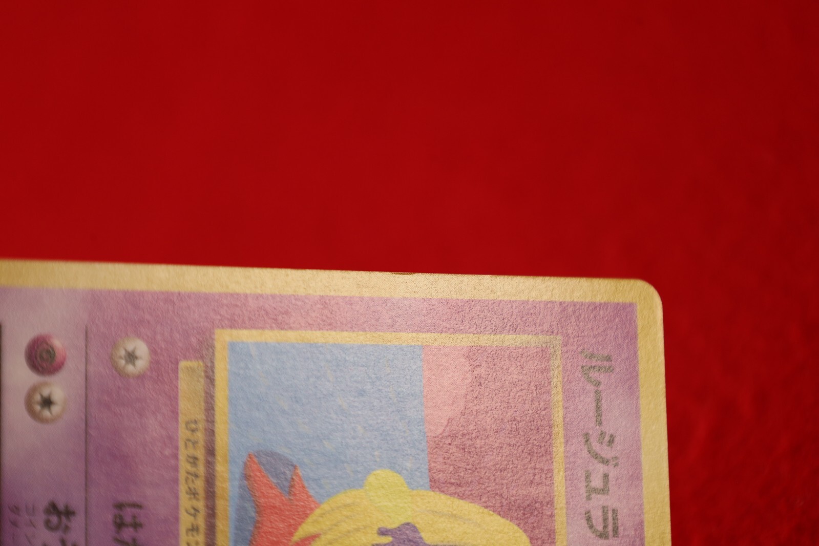 Picture 9 of 11