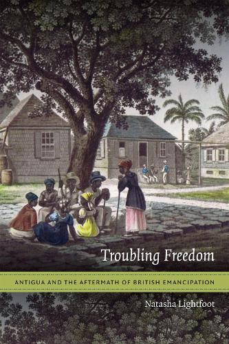 Thumbnail - Natasha Lightfoot Troubling Freedom (taschenbuch) (us Import)