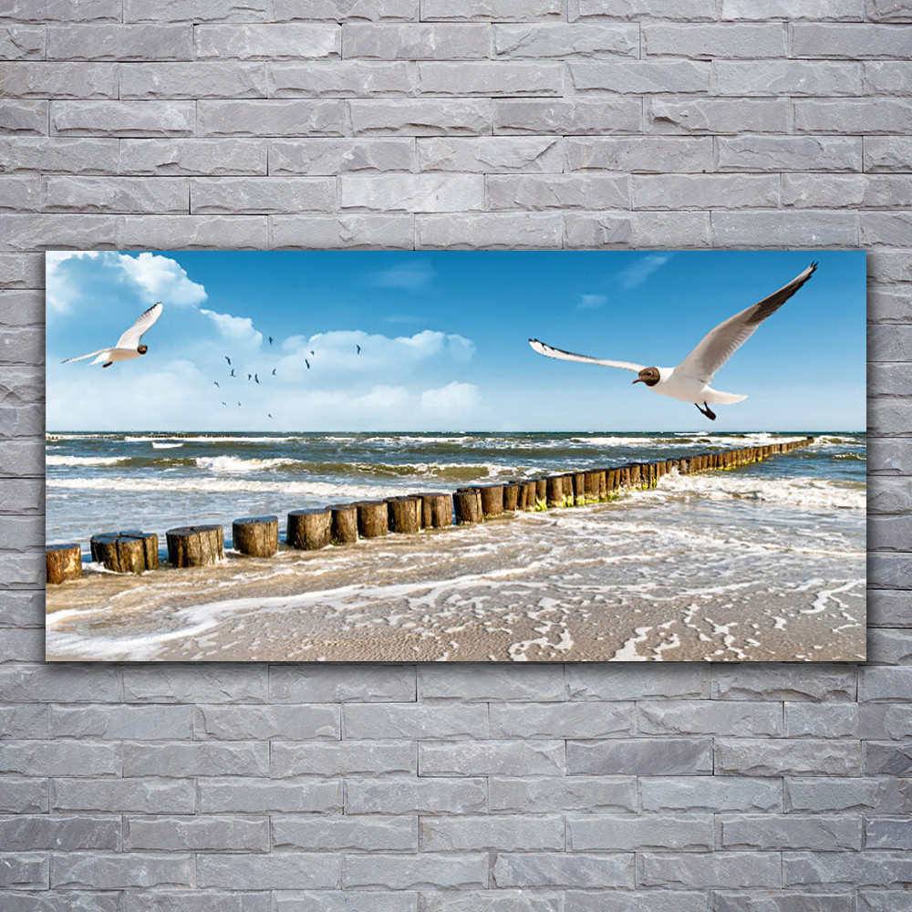 Paysage mouettes mer impression grand format sur plexiglas 120x60 cm