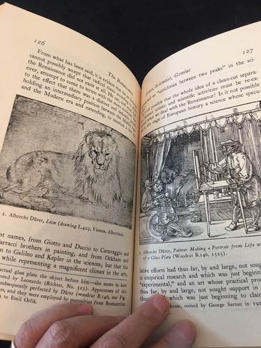 The Renaissance: Six Essays, Harper Torchbooks 1962 PB Good - Imagen 5 de 5