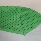 Picture 16 of 24