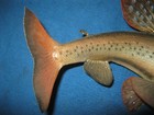Arctic Grayling wall mount — photo 4