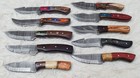 SET OF 10 PCS HANDMADE DAMASCUS SKINNER KNIVES HANDLE & SHEAT # F-11 — photo 4