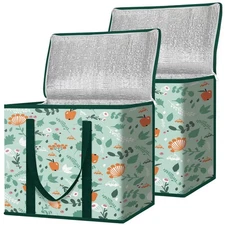 Insulated Reusable Grocery Bags - Collapsible Cooler, Heavy Duty, 2-Pack