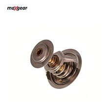 Thermostat Jaguar E