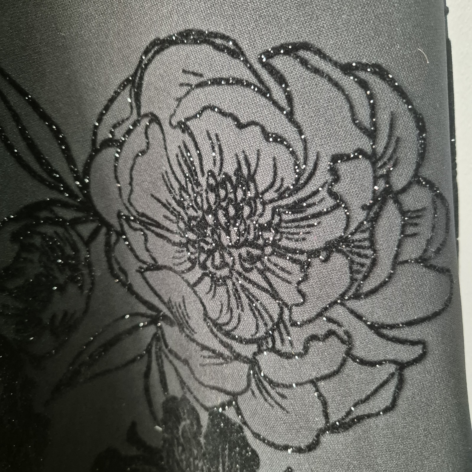 Picture 3 of 13