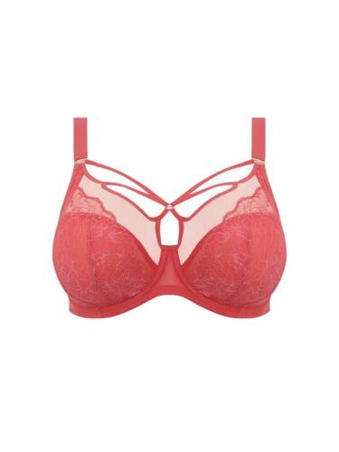 Elomi Brianna Bra Cayenne Lace 36FF Strappy Side Support Plunge Full Cup 8080 - Picture 3 of 12