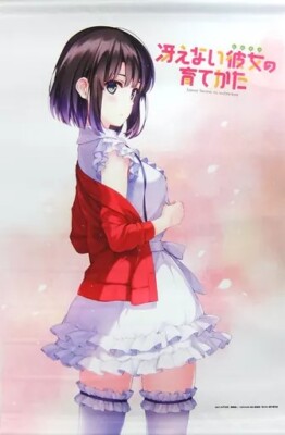 [Gobelin Wandrolle] Megumi Kato aktualisierte Saekano Flat B2 Größe aus Japan