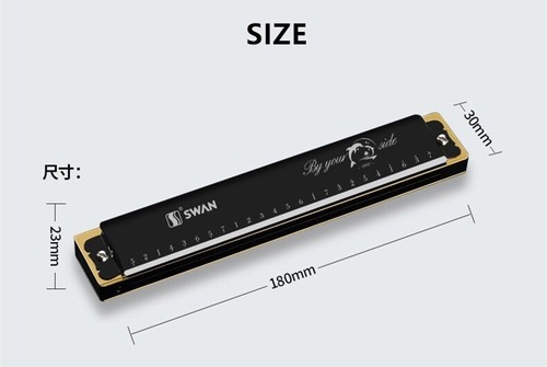 Custom Name Harmonica 24 Holes Tremolo Harmonica Key of C for Musicians Blue - Picture 5 of 12
