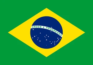 Brazil Brazilian Flag Self Adhesive Sticker Decal Various Sizes Made to Order
