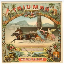 TRIUMPH Caddy Crate Label || Watson and McGill, Calvert Co. Lithograph, Antique,