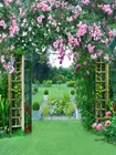 N0096 Backdrop/Background Photography For 16" AOD BJD Doll similiar size Doll