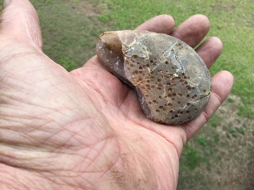 Agate Creek Quartz & Chalcydony Geode - Picture 7 of 8