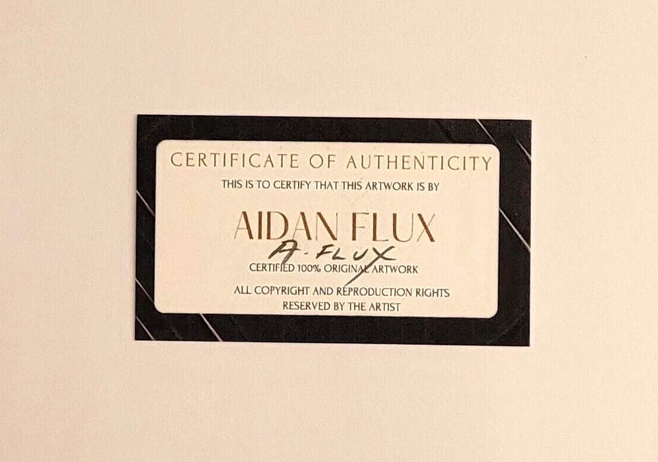 AIDAN FLUX | Impresión original firmada a mano enmarcada | Edición limitada de 69 certificado de autenticidad | Van Gogh Foto 2 de 4