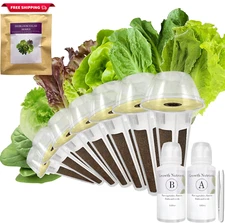 Salad Greens Seed Pod Kit for Aerogarden, Idoo with Red and Green Leaf, Romaine