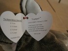Foto 11 di 14