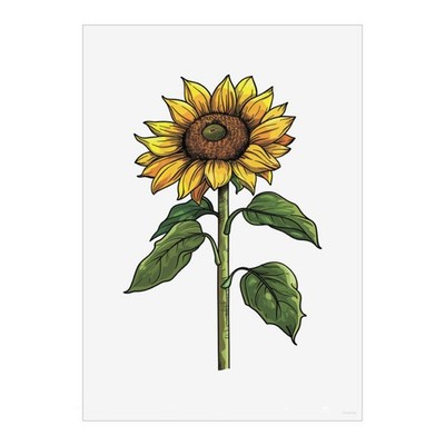 Wandbilder Poster Drucke ''Open Sunflower'' (PP048964)