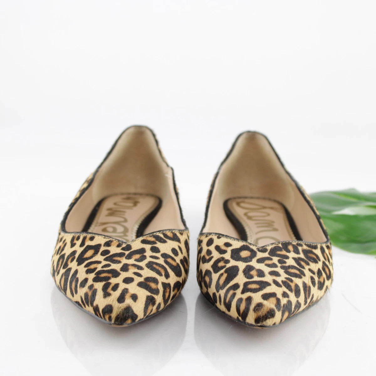 Riza flat sam best sale edelman