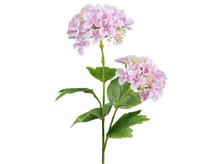 Kunstblume Schneeballzweig 48Cm Mit Rosa Farbigen BlüTen Von Ibizanos.Com