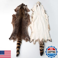 Natural Tanned American Raccoon Fur Hide Whole Skin Pelt, High Grade