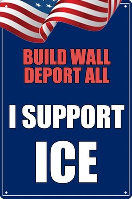 I Support Ice,Deport Them All lllegals Tin Metal Signs Home Décor 8x12,Resist 