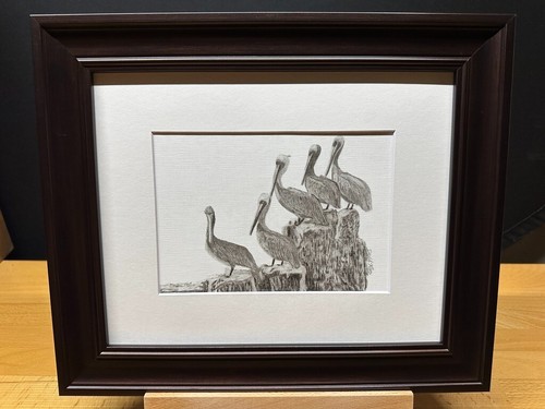 Drawing of a Pelican Birds Ocean Water Wildlife Graphite Pencil Sketch Picture - Picture 17 of 17