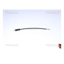 Flexible de frein Renault MASCOTT