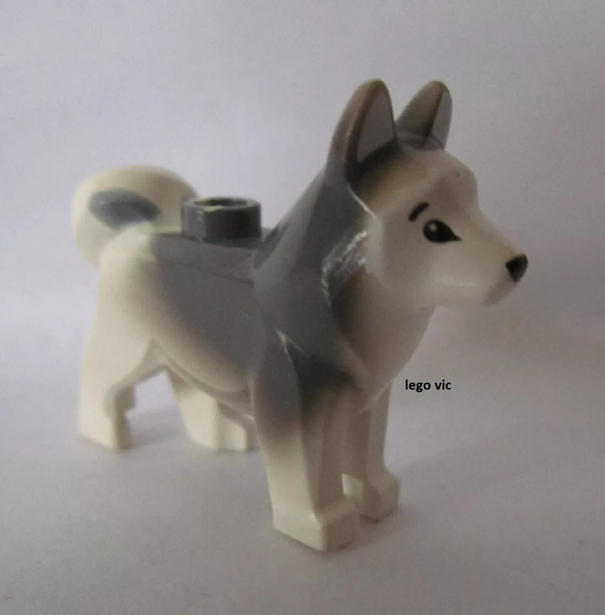 Ninjago dog sales