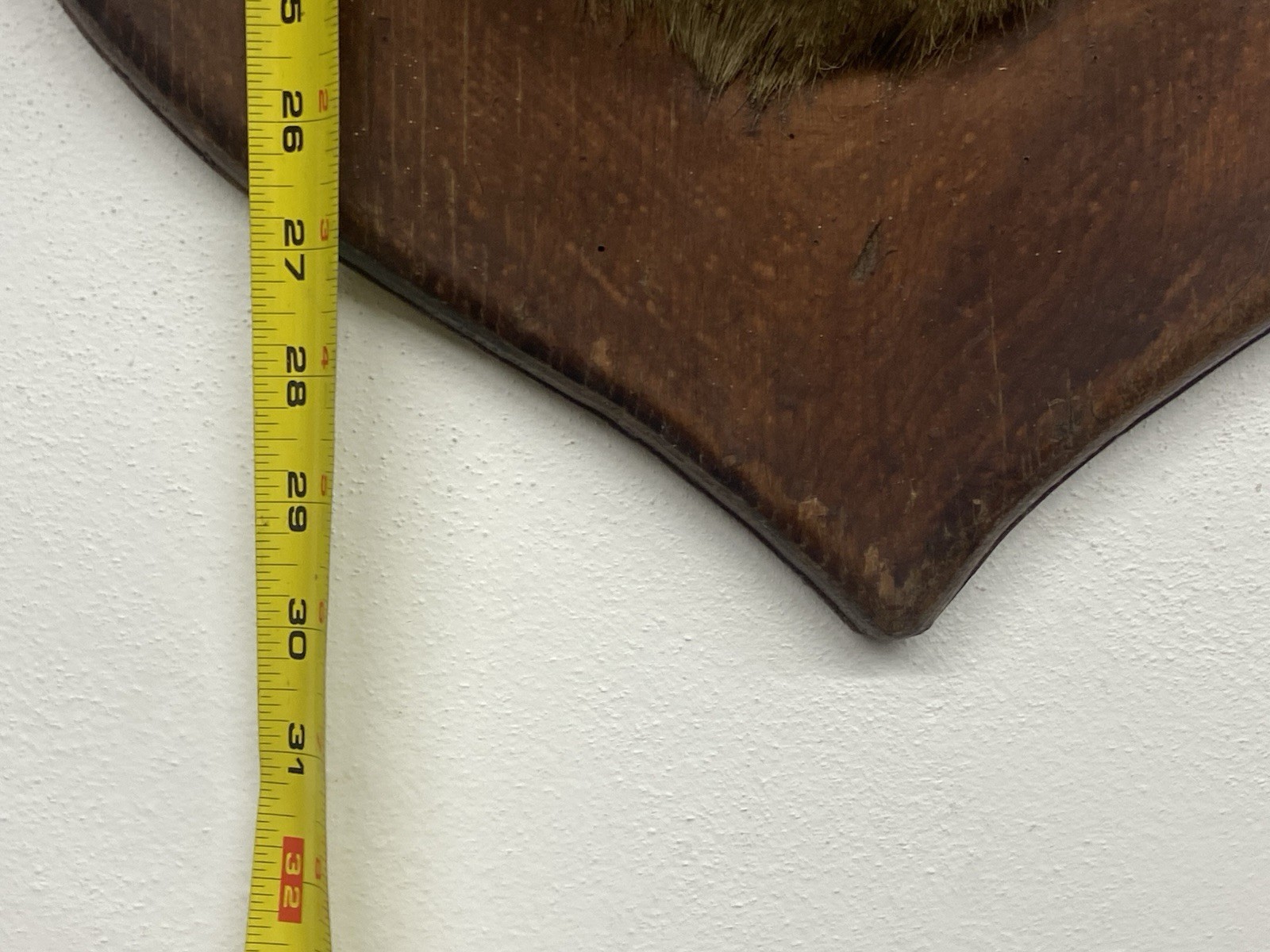 VINTAGE 8 POINT DEER TAXIDERMY WALL MOUNT