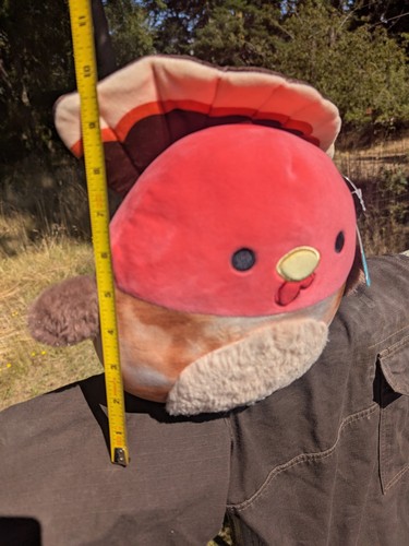Gavi die Türkei Squishmallow 8" Thanksgiving Vogel - Bild 3 von 4