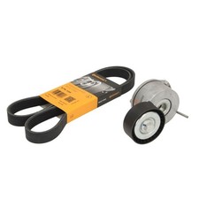 Courroie de distribution Peugeot 203