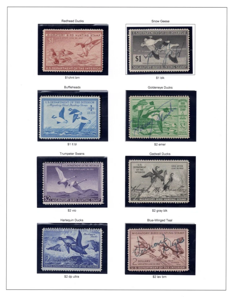 US 1935-1978 COLLECTION OF 43 DUCK HUNTING STAMPS, MOSTLY USED, SOME UNSIGNED - Image 3 of 4