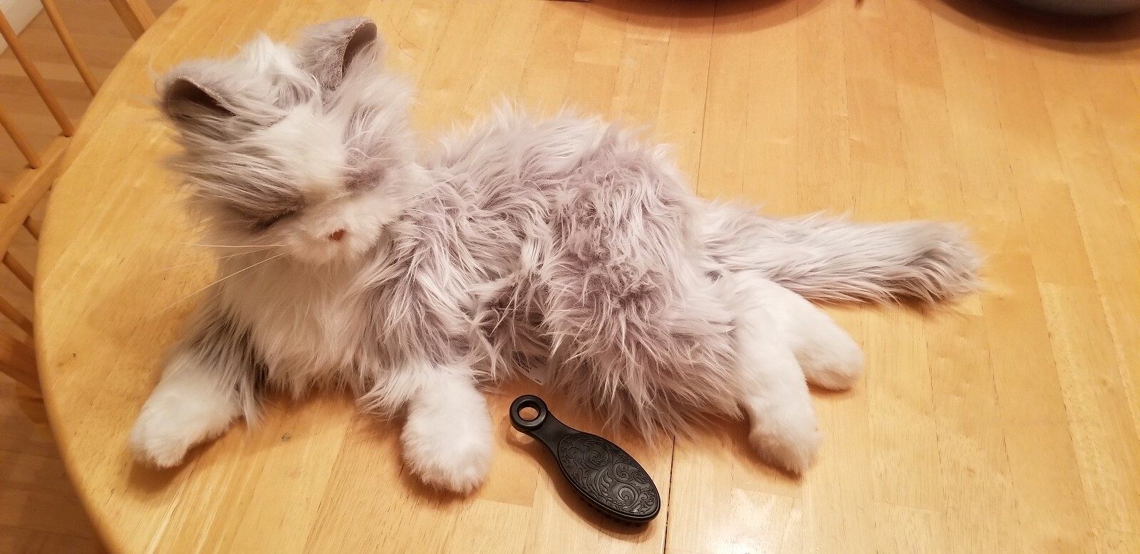 hasbro's companion pets