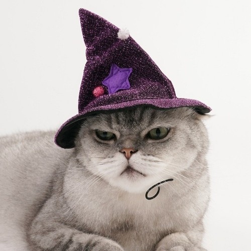 Star Pet Witch Cloak Cloth Dog Witch Costume Funny Halloween Pet Cloak Cat - Picture 7 of 14