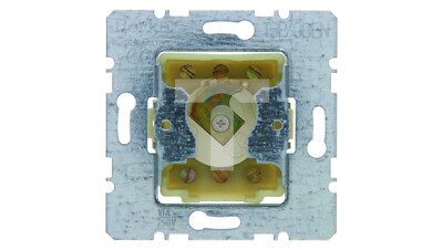 Berker Arsys Key switch 10A 250V for patent lock cylinder