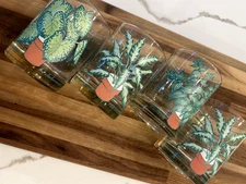 Vintage Signed Georges Briard Houseplant Lowball Drinking Rocks Glasses Set 4 