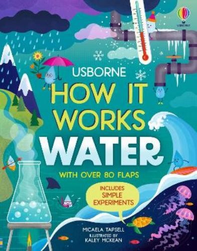 Micaela Tapsell How It Works: Water (Libro di cartone) How It Works