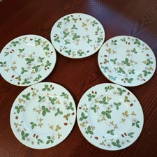LOF OF 5 Wedgwood Wild Strawberry Salad Plates 8" Bone China