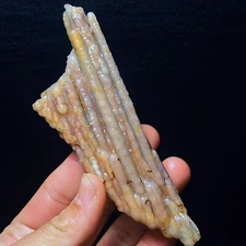 TOP 88G Natural China's Gobi Desert  Agate Eyes Crystal Healing L4546