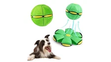 Magic Disc Ball Toy for Kids & Pets – 2-in-1 Bouncy Fetch & Pop-Up Outdoor S M L