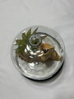 Foto 3 di 10
