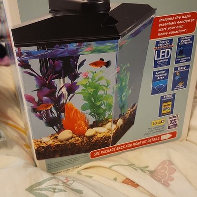 Aqua Culture 1 Gallon Rectangle Aquarium Kit with LED Lighting & Filter