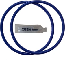 R172009 Chlorine Resistant VITON O-Ring 2 Pack + Lubricant for Pentair Rainbo...