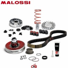 GRUPPO TRASMISSIONE MALOSSI OVER RANGE MHR MINARELLI YAMAHA 50 2T -6118884
