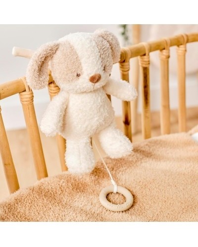 Carillon Neonato per Lettino Culla Peluches Bambini 0+ Mesi - Cane Teddy Nattou foto 5